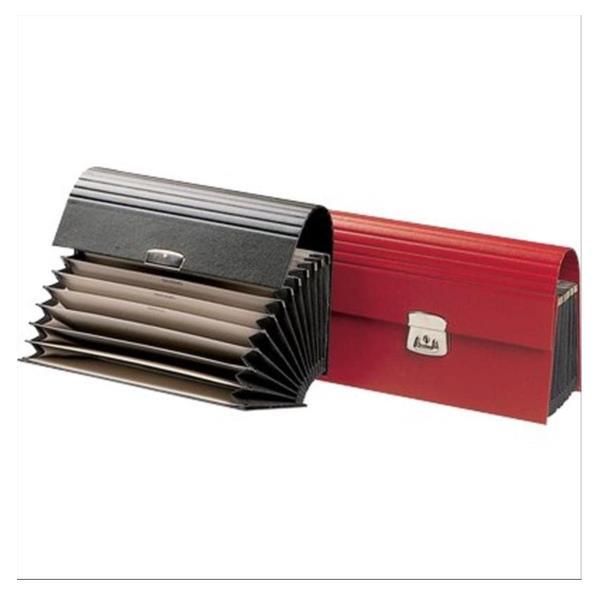 FRASCHINI CLASSIFICATORI PORTACAMBIALI IN SIMILPELLE 28X13 CM 12 …